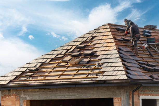 Best Skylight Installation and Repair  in Fife, WA